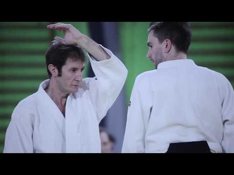 Pascal Guillemin Sensei - amazing aikido seminar!
