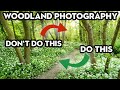 The DOs and DON'Ts of WOODLAND PHOTOGRAPHY