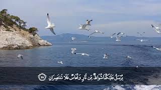 سورة الرحمن من المصحف المرتل بصوت الشيخ د. محمد حسان image