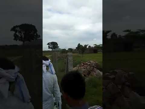 nayla road Jaipur green developer's taunship