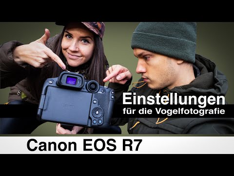 Canon EOS R7 - Tastenbelegung, Aufnahmemodus & Einstellungen für die Vogelfotografie