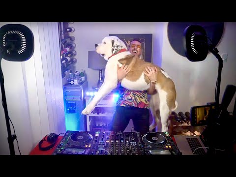 DJ Mix with My Dog!