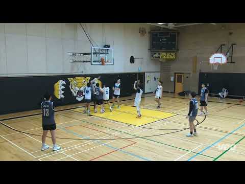 Thats a foul vs Ice Veins - saturday tier 9 - tcbl 2022 fall