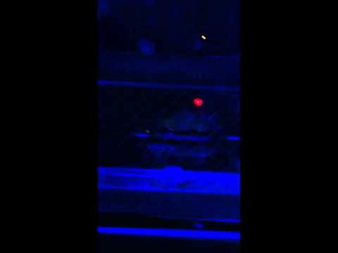 Hernan Cattaneo closing track @ Ministry of Sound London 20/04/2012