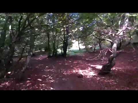 sentiero MTB per rifugio Prabello