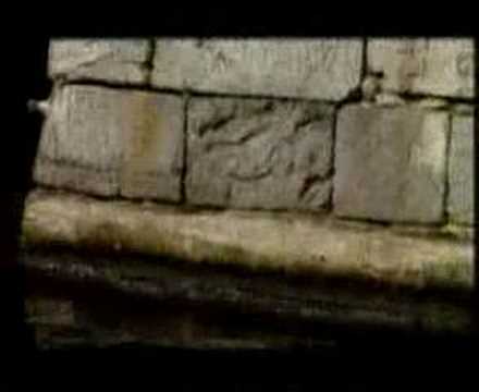 Marina Tomasevic - PUTUJEM