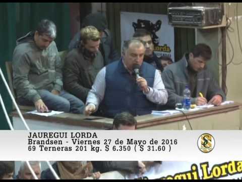 27-05-16 Venta de Hembras - Jauregui Lorda - Brandsen.
