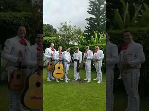 MARIACHI AGUILAS DEL NORTE EN CÚCUTA NORTE DE SANTANDER EL CHARRO MARCOS TEL 3112850860