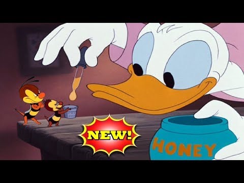 Donald duck chip and dale short film