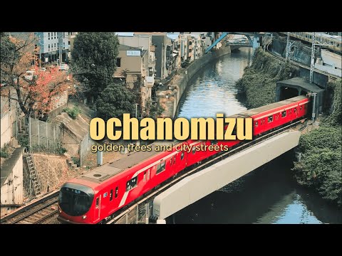 Japan Trip Day 6 | Ochanomizu to Shinjuku — Music, Campus & Night Jazz