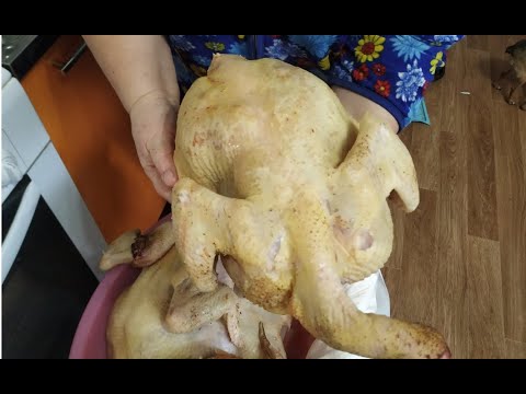 После этой пропойки птица не гибнет и растет как на дрожжах! Бройлеры, куры, индюки.