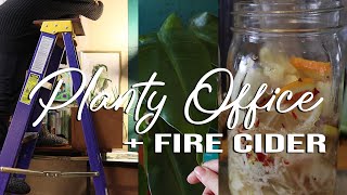 Planty Office Gallery Wall, Mini Plant Tour, and FIRE CIDER! | #vlogmas