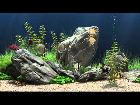 Dream Aquarium Virtual Fishtank #1