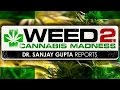 Dr Sanjay Gupta: Weed 2 - Cannabis Madness - CNN ...