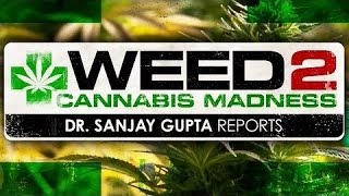 Dr Sanjay Gupta: Weed 2 - Cannabis Madness - CNN Special Documentary