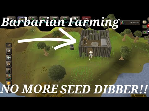 QUICK GUIDE - Barbarian Seed Dibber Training MOBILE!