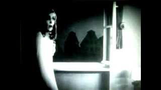 Stay While The Night Is Young