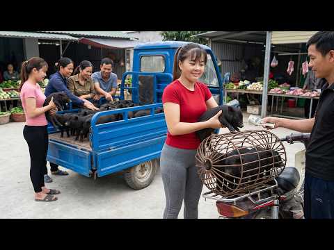 Selling 20 Piglets at Countryside Market | 3-Wheeled Truck Helps Sister Transport Pigs