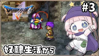 #3【DS版ドラクエ5】青年期・奴隷生活から。枯れ木の国前に！デボラに会おう！結婚しよう！【女性実況】