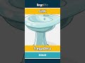 sink - fregadero video thumbnail