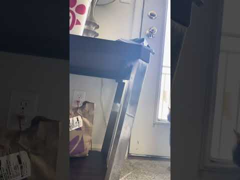 Villager vs Pillager life 12