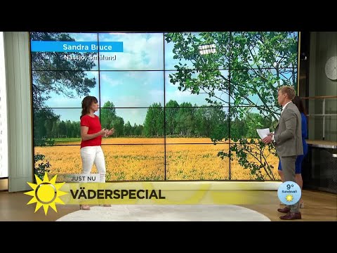 Helgens väder - så länge stannar värmen - Nyhetsmorgon (TV4)