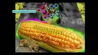 [4/4] Morgellons Syndrome PL-Skutki Modyfikowania Żywności GMO/PROTOKÓŁ CHOROBY CHEMTRAIL