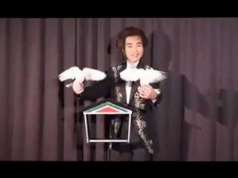 Twin Doves in Balloon - Remote Control