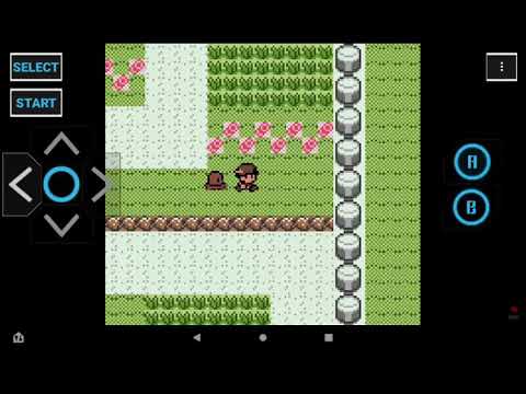 I have pokemon crystal clear (Read Description)