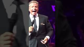 LUIS MIGUEL-AMOR AMOR 🦻🏼