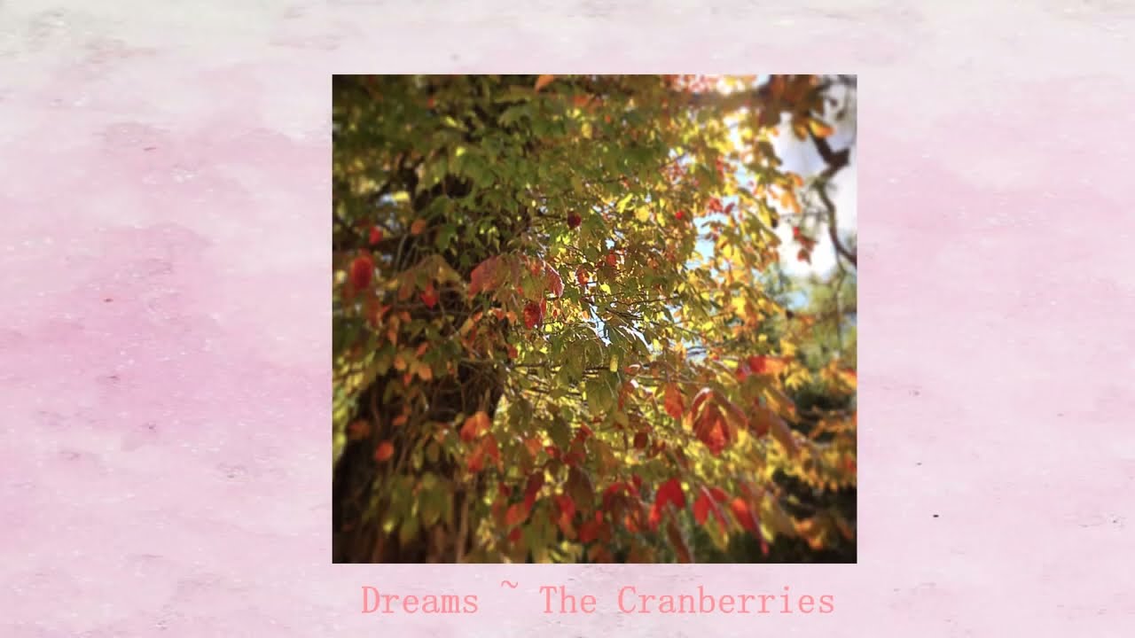 a 🍂Fall Playlist🍂 to help you feel like a main character from the 90s / 00s / 10s era [CW vibes]