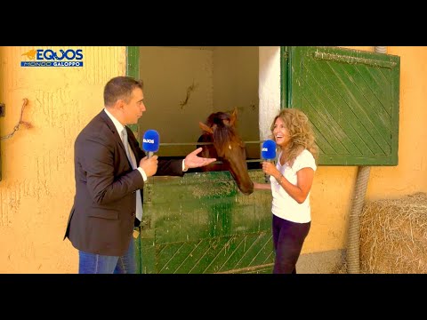 EQUOS MONDO GALOPPO   puntata 8