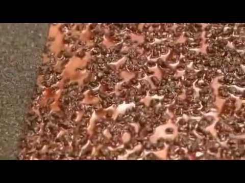 Comment C'est Fait - Les Grains et le Papier Abrasif