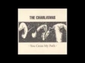 Charlatans - Acid In the tea