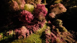 Download the video "SHOWREEL 4K 2"