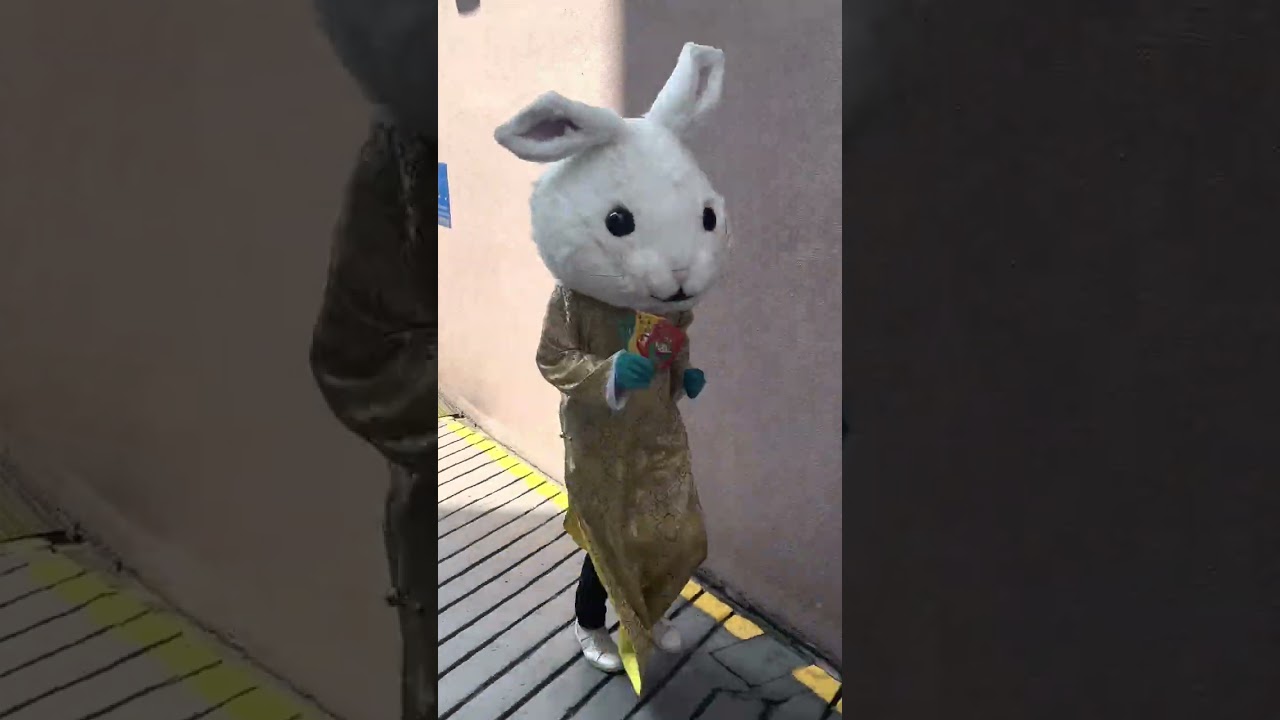 Win RM88 Watsons Points** on Twitter & Telegram Giveaway！