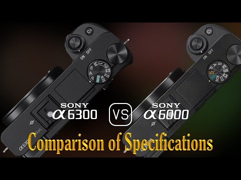 Sony A6300 vs. Sony A6000: A Comparison of Specifications