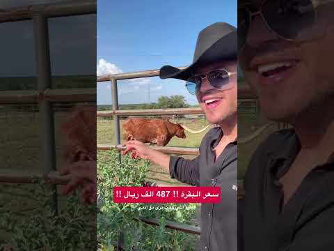 #اكسبلور