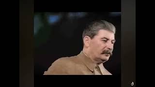 Does stalin from the USSR look like Mario or is it just me?