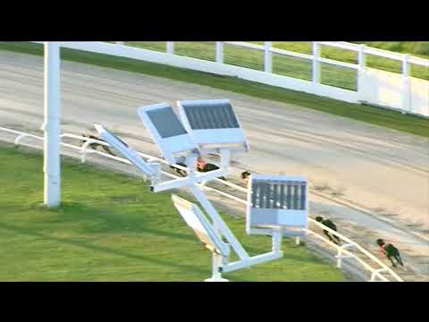 2018 STAR SPORTS DORANDO MARATHON - T4 MAYSDREAMCATCHER