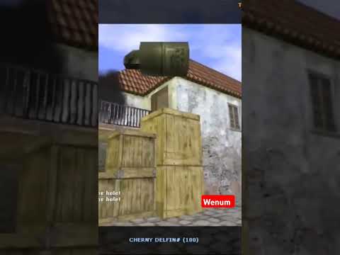 Begjan. Chorniy delfinn