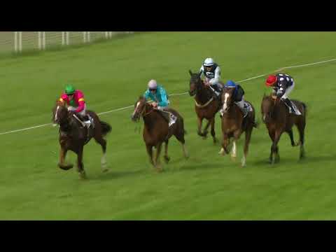 Frauenfeld/03.09.2023/Preis Bickel Auto AG, Frauenfeld und Weinfelden