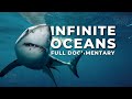INFINITE OCEANS A Journey Through The World S Oceans Full Documentary