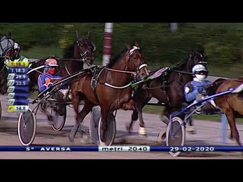 Aversa trotto 29 Febbraio 2020 - 5° Corsa