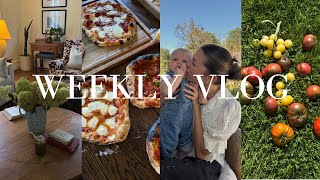 WEEKLY VLOG | Hosting, sourdough, & home reset 