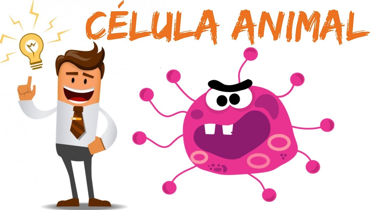 Animal Cell - Video Lesson -