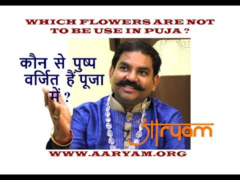 download lagu mp3 mp4 Flowers Not Used For Pooja, download lagu Flowers Not Used For Pooja gratis, unduh video klip Flowers Not Used For Pooja