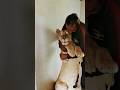 Tiger Badshah Animaldog Dog Badboyshah Dogbreeds Animal Rapperbadshah Dogtypes Zoo