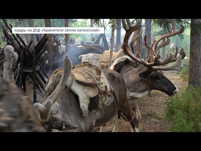 4 ноября смотрите на нашем канале премьеру документального фильма «Хранители земли Катангской».