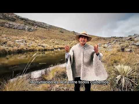 Entre montañas se esconde una de nuestras mayores riquezas naturales. 🌿